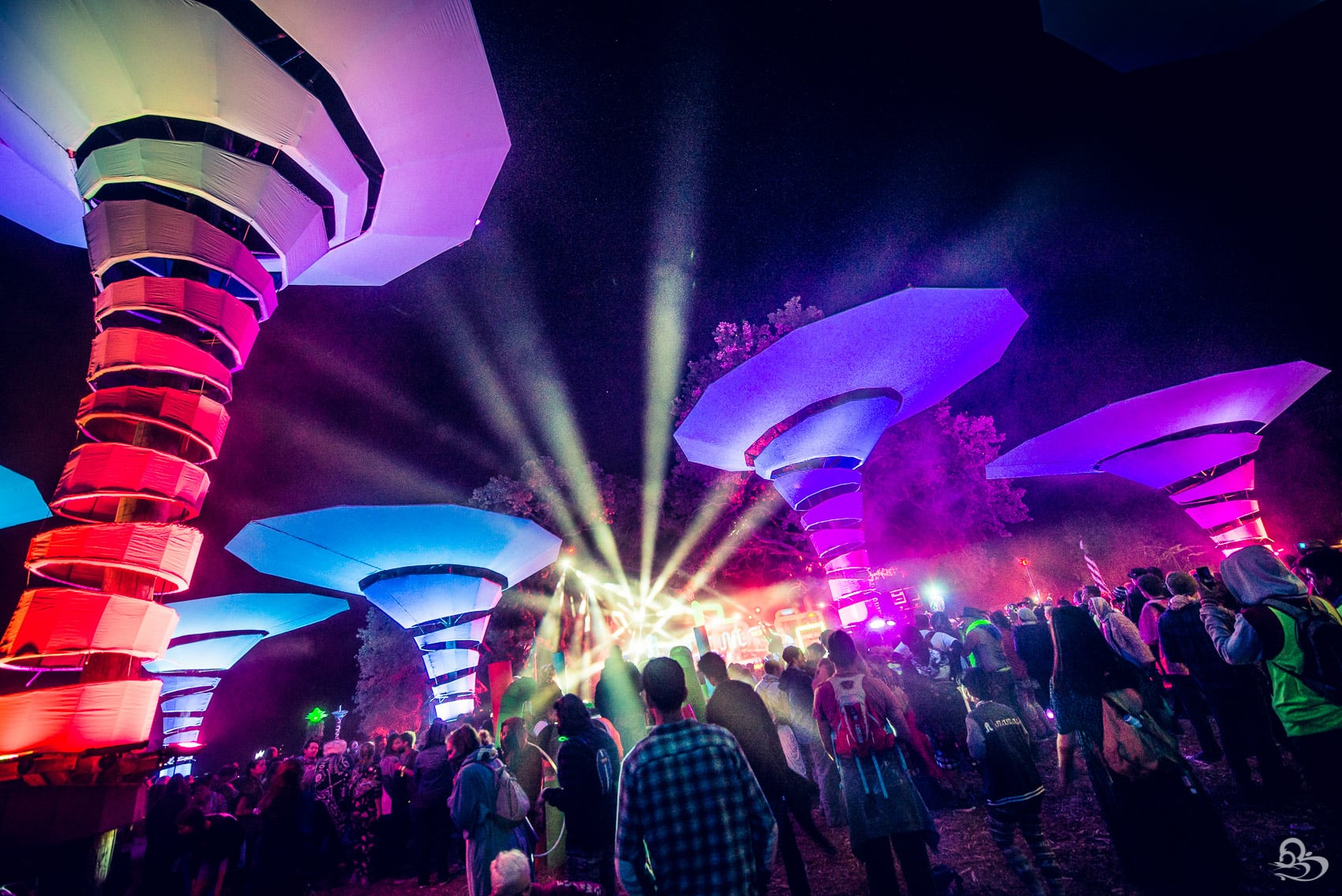 Dark Monarchs Rising — 24