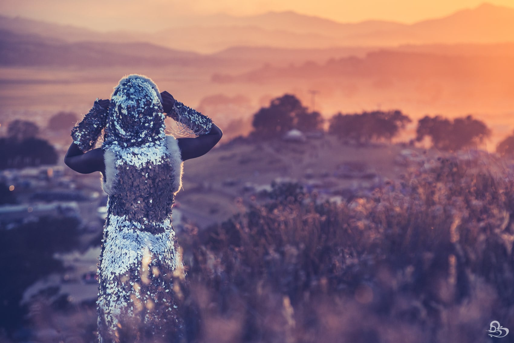 Dark Monarchs Rising — 13