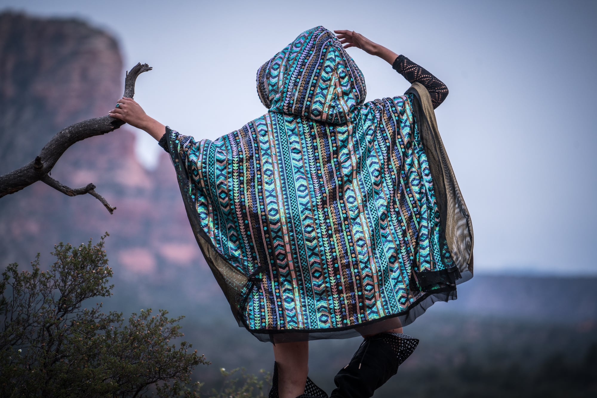 Nomads of the Painted Desert — 22